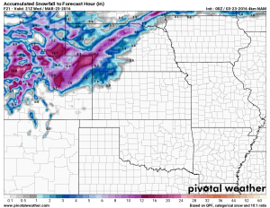 NAM snowfall forecast by Weds PM