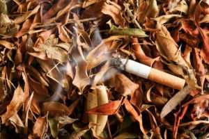 Castle Rock Weather Forecast March 2017 Week 1 - Don't toss cigarette butts!