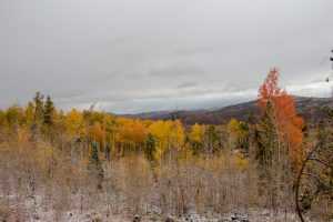Fall Weather | Fall Colors | Palmer Divide Colorado | Castle Rock Colorado