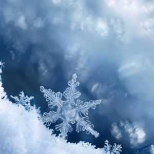 Castle Rock Weather | 80108 Weather | 80109 Weather | 80104 Weather | Snow Storm | Snowfall
