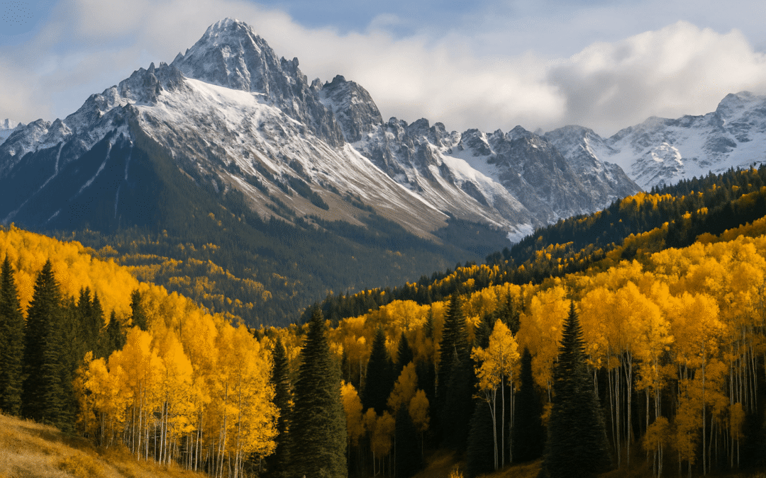 November 2025 Outlook – First Half